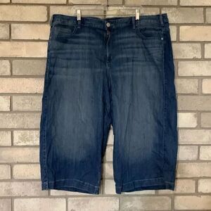 NWT MSRP $70 Jeans lane Bryant size 26